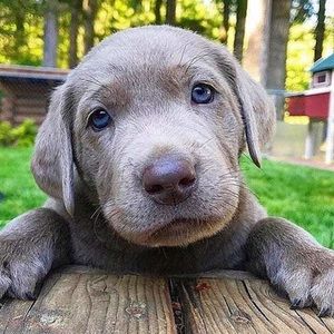 Meet your Posher, Eun hwa